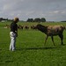 Susie Rowe Photo 27