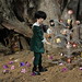 Robert Sever Photo 12