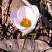 Nancy Kent Photo 23