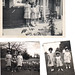 Sandra Hutton Photo 11