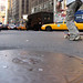 Jay Goldberg Photo 28