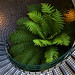 John Curley Photo 37