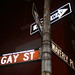 Todd Gay Photo 21