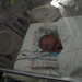 Scott Dexter Photo 39