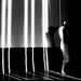 Benjamin Forster Photo 27