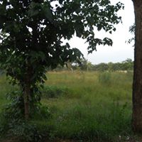 Raj Chowdhury Photo 9