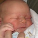 Anne Rowan Photo 14