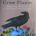 Lynn Crow Photo 19