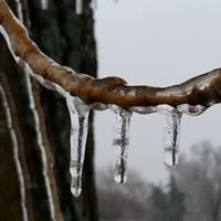 Debra Ellis Photo 15