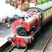 David Barclay Photo 61