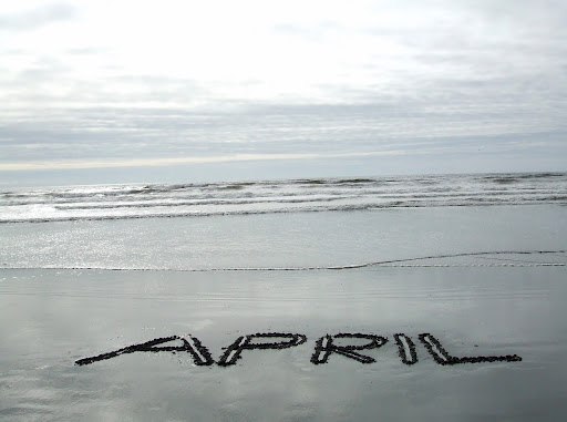 April Nelson Photo 18