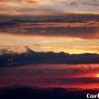 Cindy Rouse Photo 38