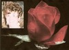 Gail Rose Photo 6