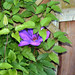 Jerry Bright Photo 6