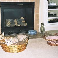 Arlene Russell Photo 22
