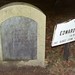 Edward Gray Photo 46