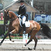 Melissa Canter Photo 10
