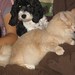 Susan Krause Photo 47
