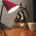 Samantha Coffee Photo 17