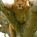 Elizabeth Wild Photo 12