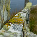 Stephen Moss Photo 24