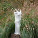 Susan Bowman Photo 30