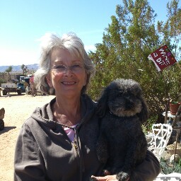 Janet Mcguire Photo 10