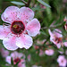 William Ray Photo 15