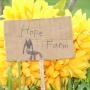 Robin Helms Photo 21