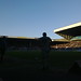 Robert Snodgrass Photo 22