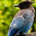Jay Call Photo 9