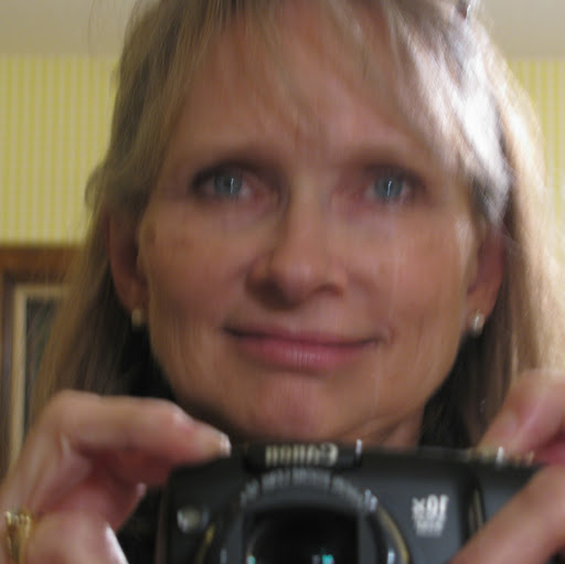 Connie Johnson Photo 24