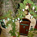 Tracy Edwards Photo 31