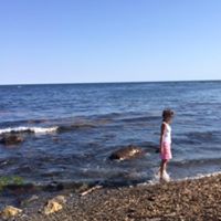 Cheryl Ferraro Photo 4