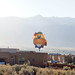 David Reineke Photo 27