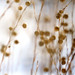 Dina Bell Photo 27