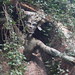 Marilyn Crouch Photo 12
