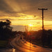 Dennis Ray Photo 16
