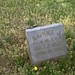 Samuel Stewart Photo 21
