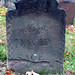 David Maples Photo 18