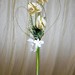 Julie Mcandrew Photo 13
