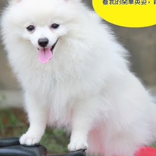Maggie Chu Photo 14