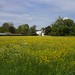 Charles Downing Photo 9