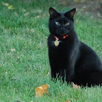 Philip Tuttle Photo 15