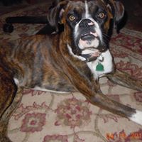 Jerry Spangler Photo 24