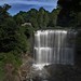 Kevin Webster Photo 47
