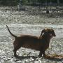 Susan Proctor Photo 6