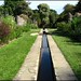 Dorothy Lucas Photo 25