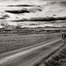 Jorge Pando Photo 6