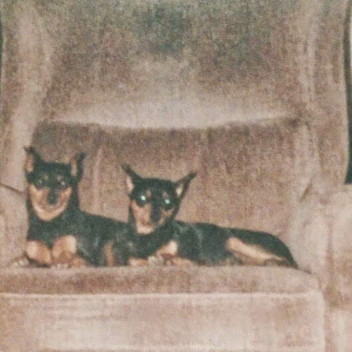 Nancy Matthews Photo 25